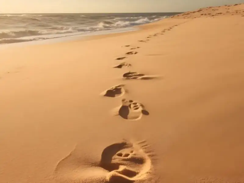 footprints on beach
